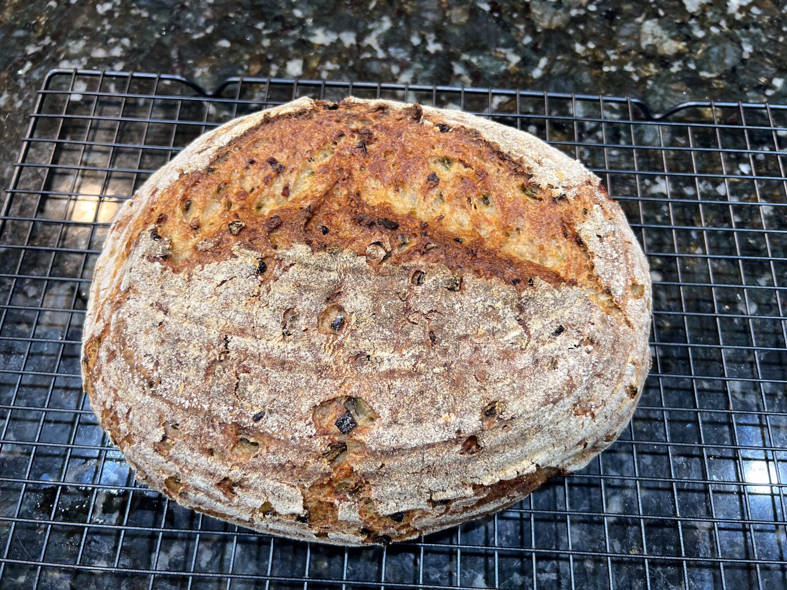 GF Italian Cheese SourDough
